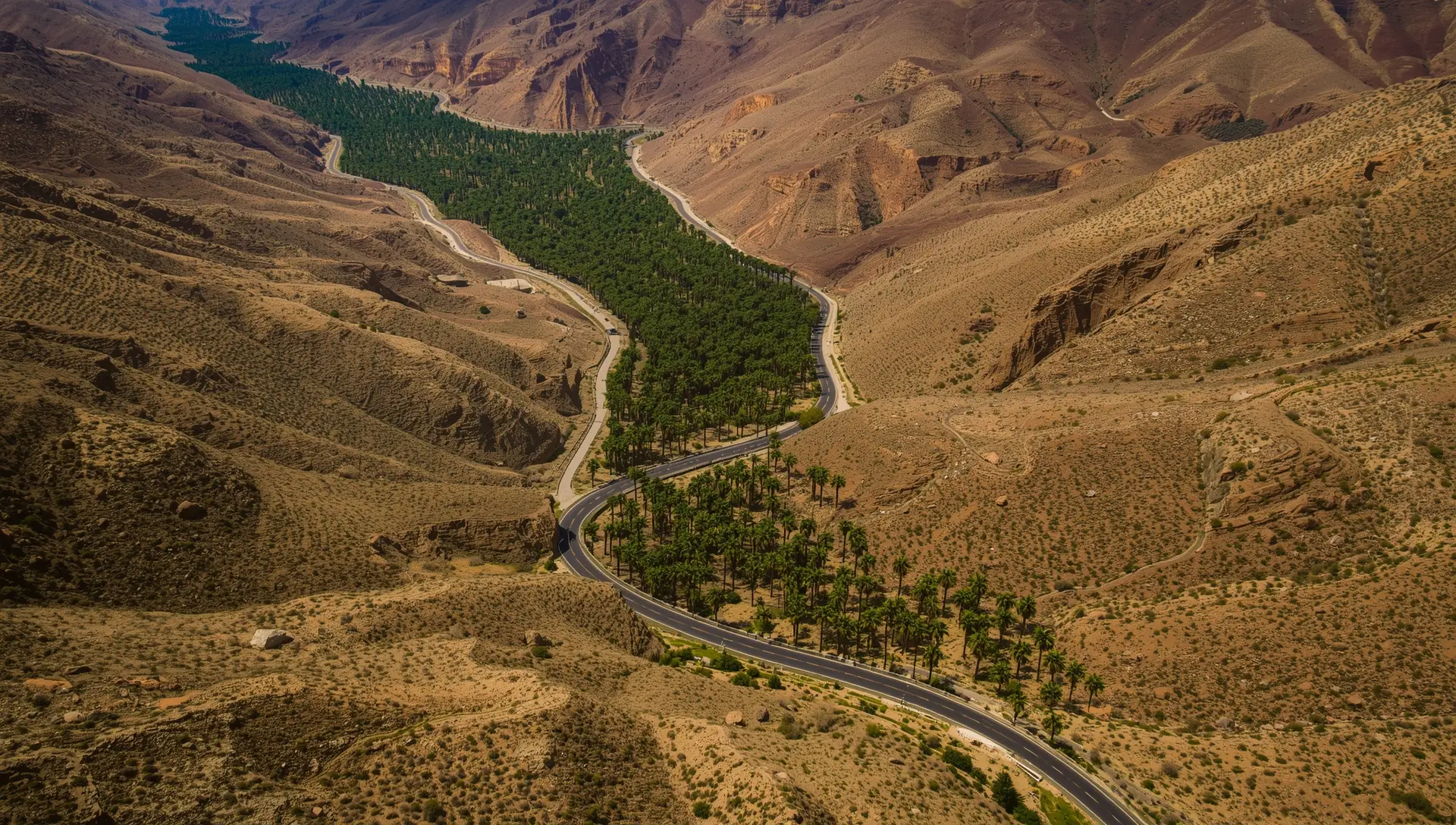 Car on Lanzarote Road